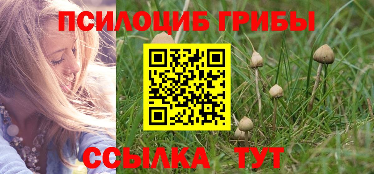Галлюциногенные грибы Psilocybine cubensis  Псилоцибиновые грибы мицелий  Вход с VPN  наркошоп  Урюпинск 